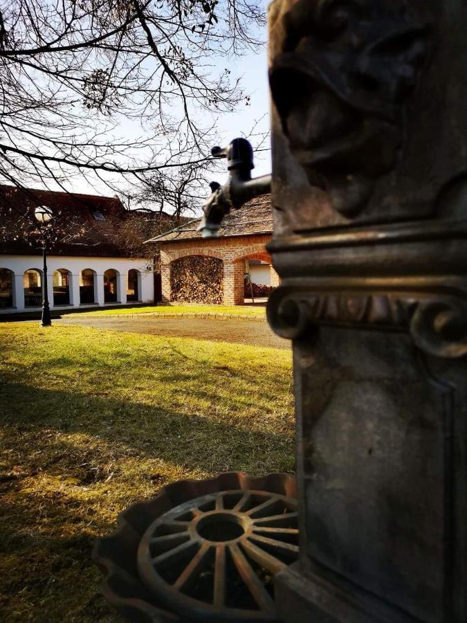 Отель Ginti Panzio, Orseg Magyarszombatfa Экстерьер фото